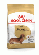 ROYAL CANIN ROYAL CANIN  DACHSHUND 